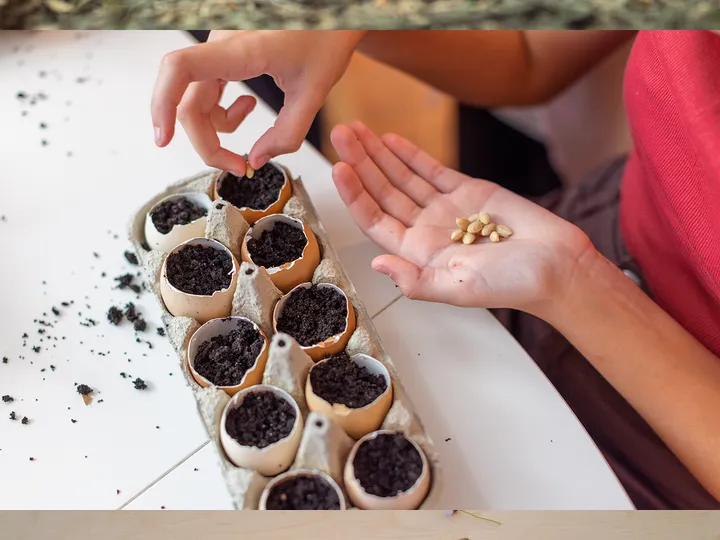 A child engaged in hands-on learning at home
