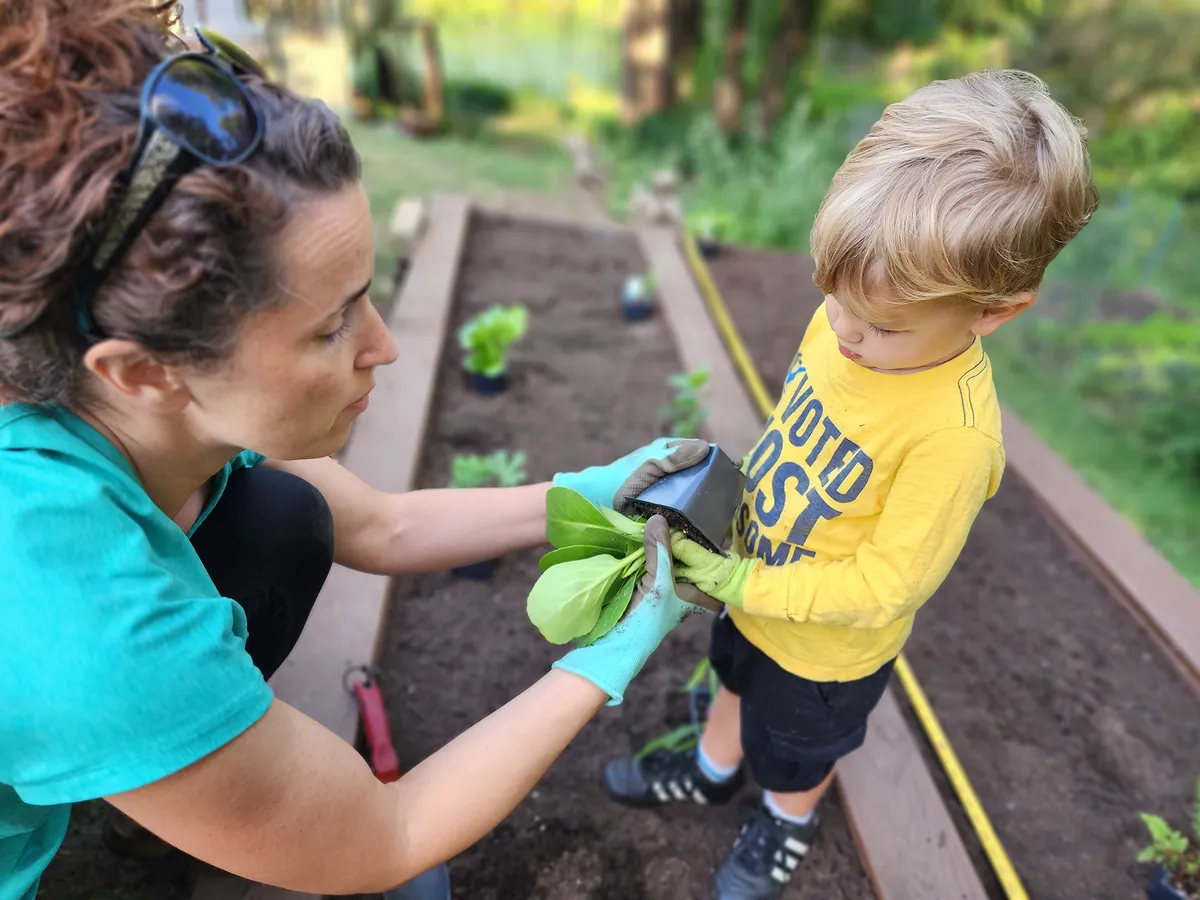A teacher guiding a young child as they pot a seedling together