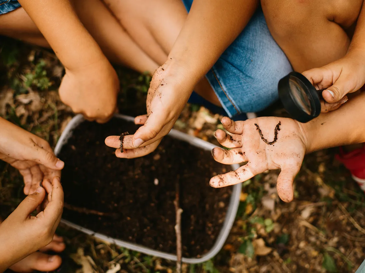 Children's hands holding soil and a small creature during an outdoor lesson